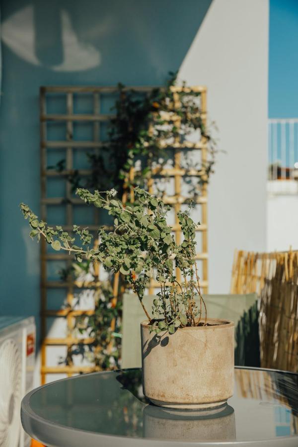 Appartement Loft With Private Parking Athene